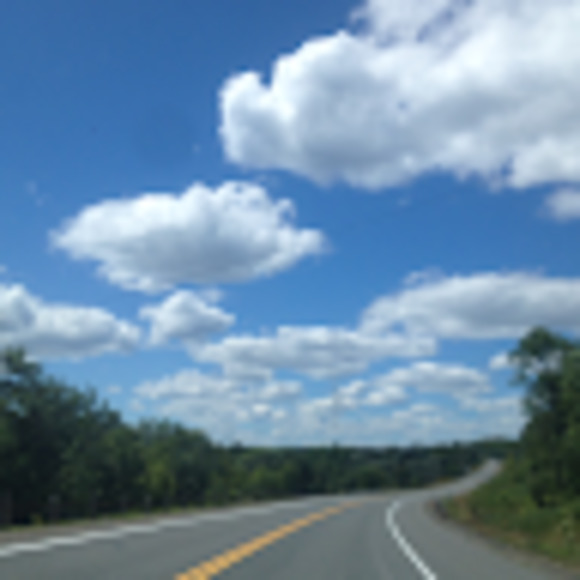 Meet your Posher, Ilana - Picture 1 of 1